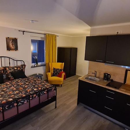 City-Apartment Nr 9 Zarrentin am Schaalsee Eksteriør billede